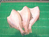 宗八がれい(干物)